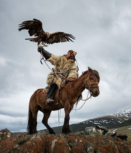 hunting with eagles
